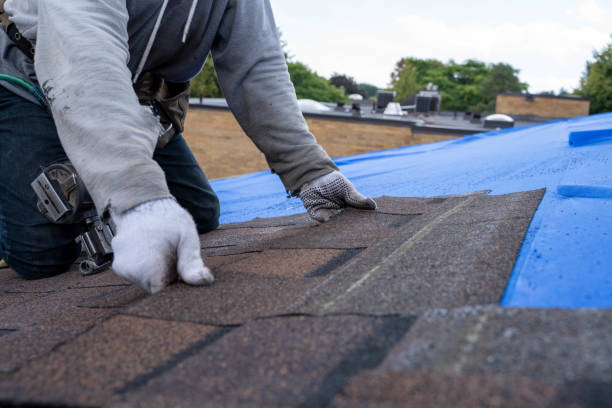 Quick and Trustworthy Emergency Roof Repair Services in Pittsfield, IL
