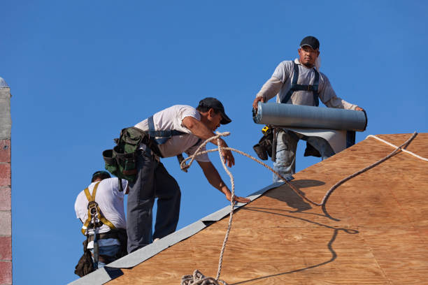 Best Metal Roofing Contractor  in Pittsfield, IL